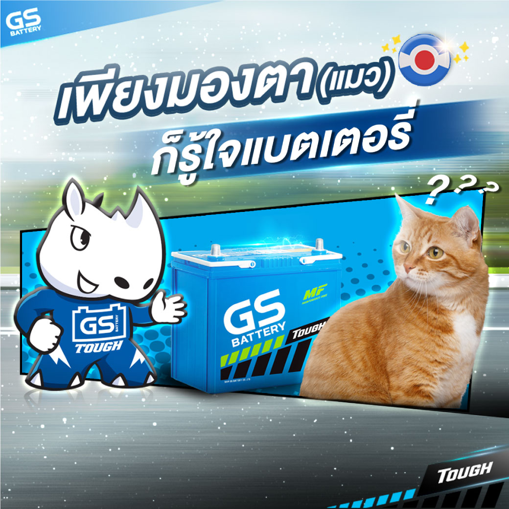 ตาแมวแบตเตอรี่คืออะไร บอกถึงสถานะแบตเตอรี่ได้อย่างไร?